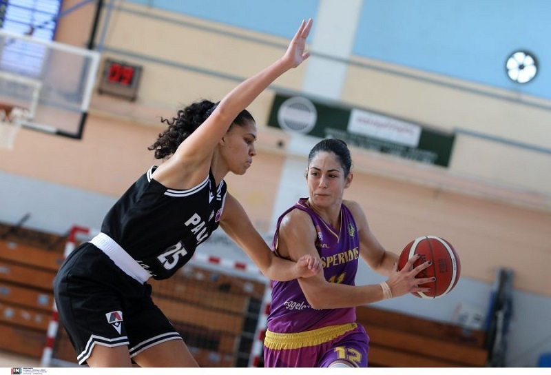 All Star Basket