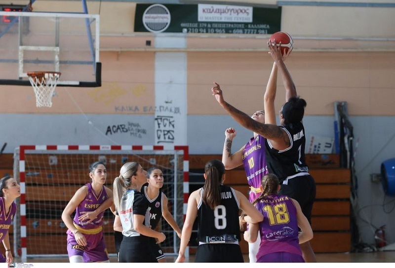 All Star Basket