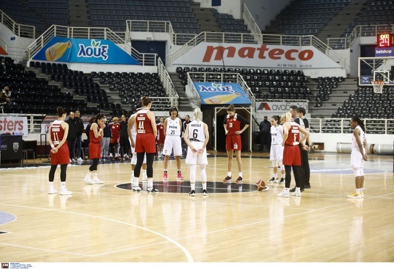 All Star Basket