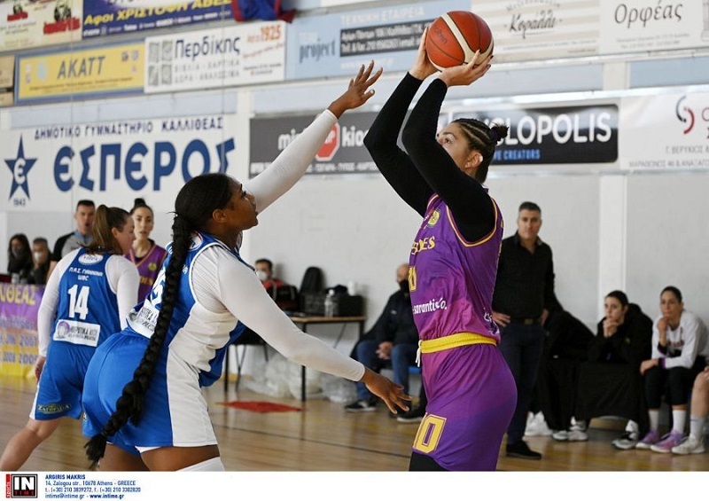 All Star Basket
