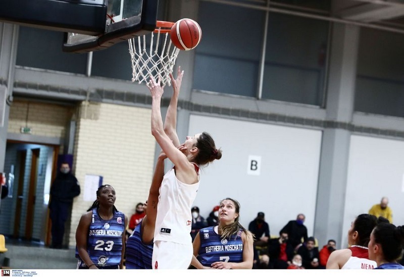 www.allstarbasket.gr