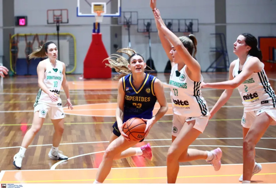 W Rising Stars: Στον Γέρακα στις 2-3/3 το Final 4 – To πρόγραμμα των αγώνων
