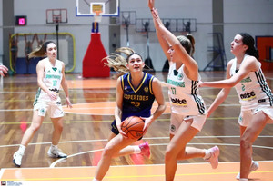 W Rising Stars: Στον Γέρακα στις 2-3/3 το Final 4 – To πρόγραμμα των αγώνων