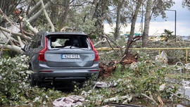 H συμπαράσταση ΚΑΕ ΠΑΟΚ, ΚΑΕ Άρης και Παναθηναϊκού στους πληγέντες της θεομηνίας