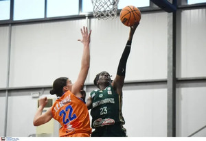 Α1 Γυναικών: Ο Παναθηναϊκός 92-79 τον Αμύντα και ο ΠΑΣ Γιάννινα 78-76 τον Πανσερραϊκό (galleries)