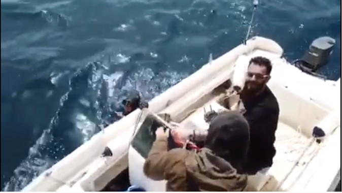 O ψαράς Λάζος κι ο... βαρκάρης Φώτσης (video)