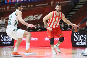 Παναθηναϊκός: Το ζέσταμα στο Βελιγράδι (vids)