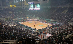 Η ΕΟΕ &quot;μπλοκάρει&quot; την παραχώρηση του ΟΑΚΑ στον Παναθηναϊκό!
