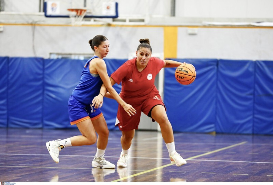 Ολυμπιακός Γυναίκες: Νίκη 84-36 επί του Αμύντα - Τι είπε ο Νίκλας