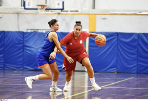 Ολυμπιακός Γυναίκες: Νίκη 84-36 επί του Αμύντα - Τι είπε ο Νίκλας