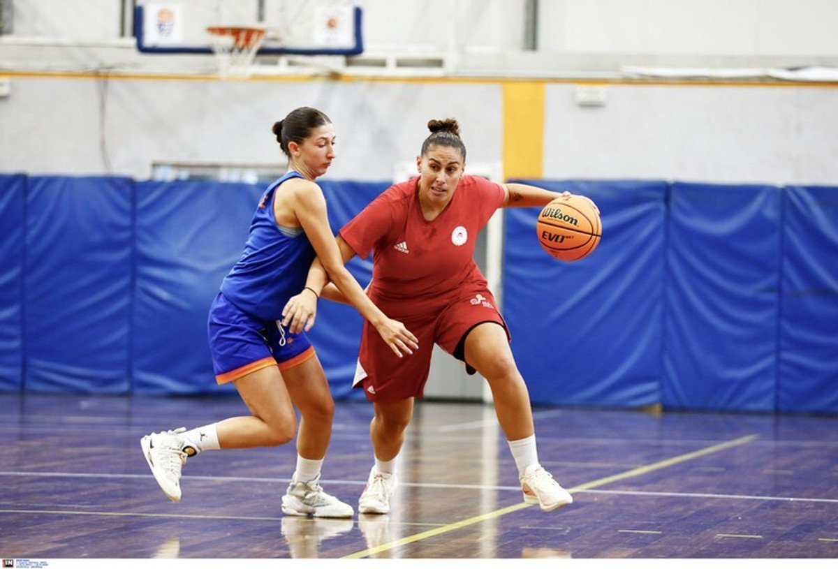 Ολυμπιακός Γυναίκες: Νίκη 84-36 επί του Αμύντα - Τι είπε ο Νίκλας