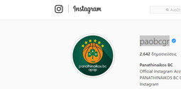 Αφιέρωμα Ιnstagram Παναθηναϊκού ΟΠΑΠ: &quot;Βασιλιάς&quot; ο Θ. Αντετοκούνμπο!